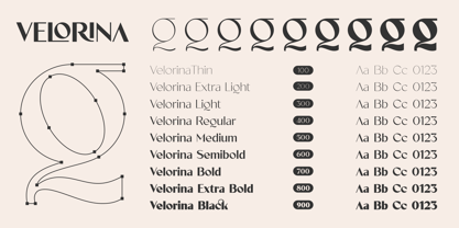 Velorina Font Poster 3