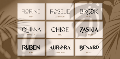 Velorina Font Poster 2