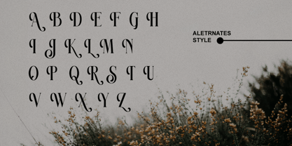 Ravsten Font Poster 10