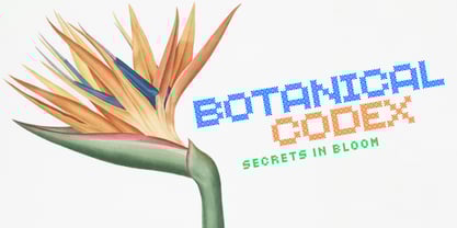 Kiriko Font Poster 9