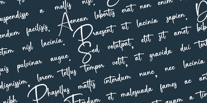Beastien Signattura Font Poster 2