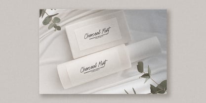 Zavonia Font Poster 7