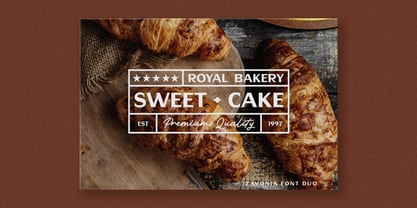 Zavonia Font Poster 4