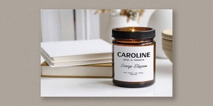 Zavonia Font Poster 3