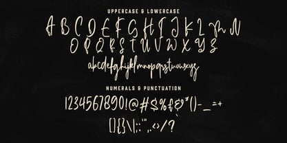 Bonehead Script Font Poster 11