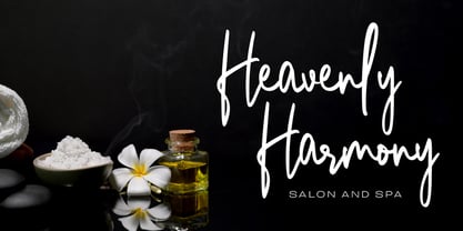 Bonehead Script Font Poster 9