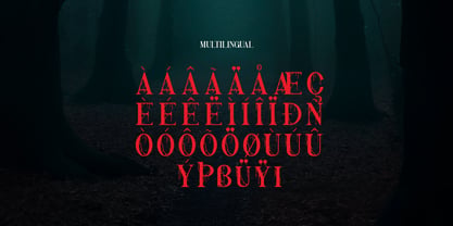 Nothing Inside Flat Font Poster 11