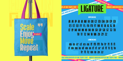 Flaction Font Poster 7