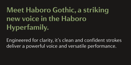 Haboro Gothic Font Poster 10