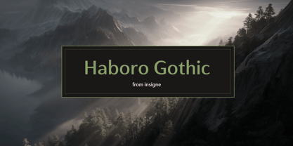 Haboro Gothic Font Poster 1