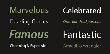 Haboro Gothic Font Poster 15