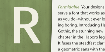 Haboro Gothic Font Poster 3