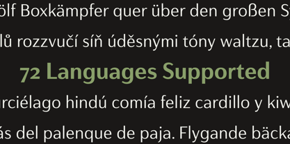 Haboro Gothic Font Poster 11