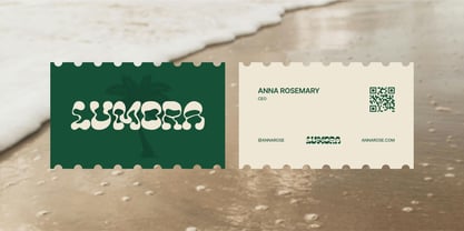 Boogie Wavy Font Poster 6