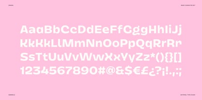 Dingos Font Poster 3