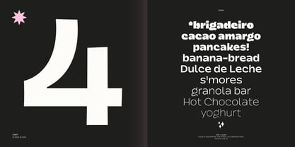 Dingos Font Poster 7