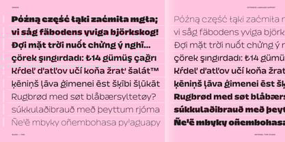 Dingos Font Poster 6