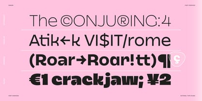 Dingos Font Poster 10