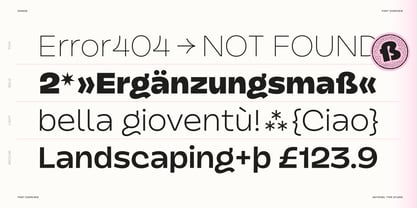 Dingos Font Poster 11