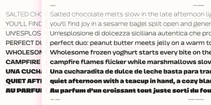 Dingos Font Poster 8