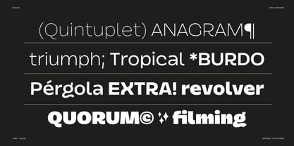 Dingos Font Poster 4