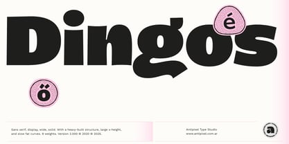 Dingos Font Poster 1