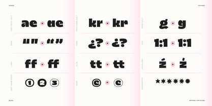 Dingos Font Poster 9