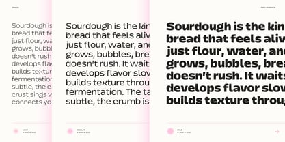 Dingos Font Poster 14