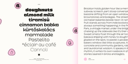 Dingos Font Poster 2