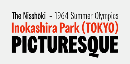 SC Maydon Font Poster 3