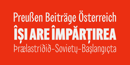 SC Maydon Font Poster 13