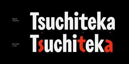 SC Maydon Font Poster 9