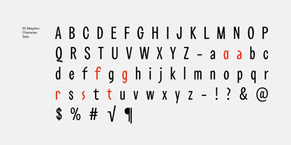 SC Maydon Font Poster 14