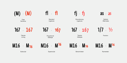 SC Maydon Font Poster 10