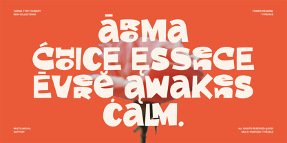 Trimen Drawing Font Poster 11