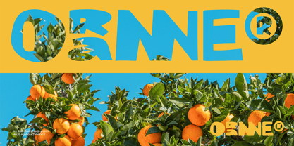 Trimen Drawing Font Poster 7