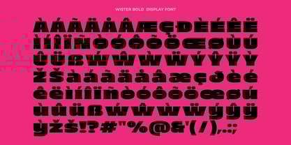 Wister Font Poster 11