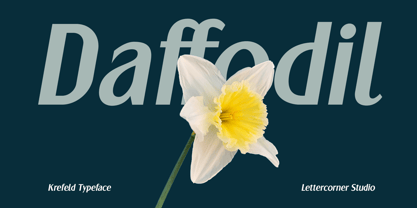 Krefeld Font Poster 2