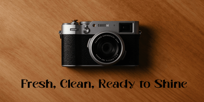 Shoney Font Poster 12