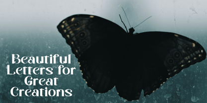 Shoney Font Poster 11