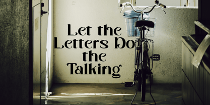 Shoney Font Poster 7