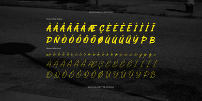 Memori Senja Script Font Poster 11