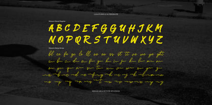 Memori Senja Script Font Poster 12