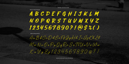 Memori Senja Script Font Poster 10