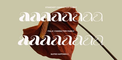 Quited Happines Font Poster 2