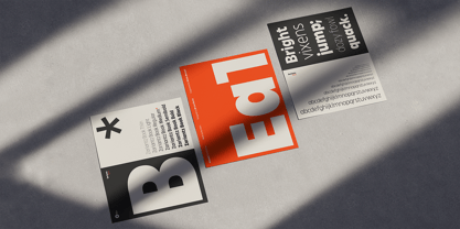 Zariantz Book Font Poster 11