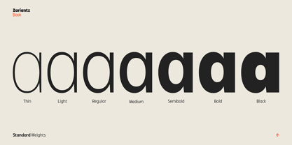 Zariantz Book Font Poster 2