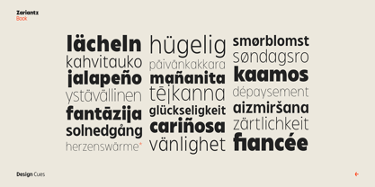 Zariantz Book Font Poster 8