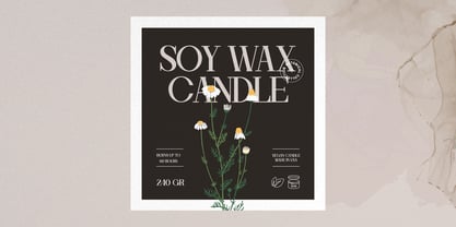 Ronale Classic Font Poster 6