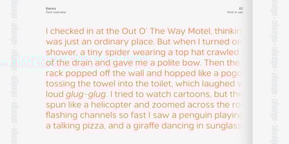 Etenira Font Poster 7